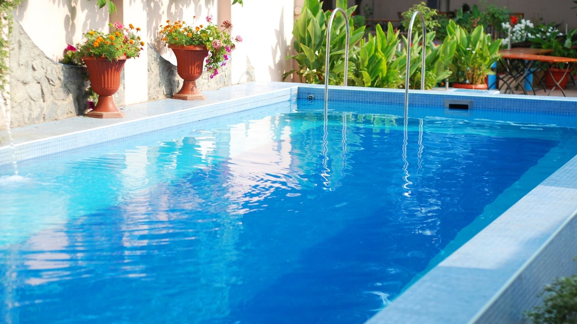 Clear blue swimming pool with ladder surrounded by flowering plants and white stone walls